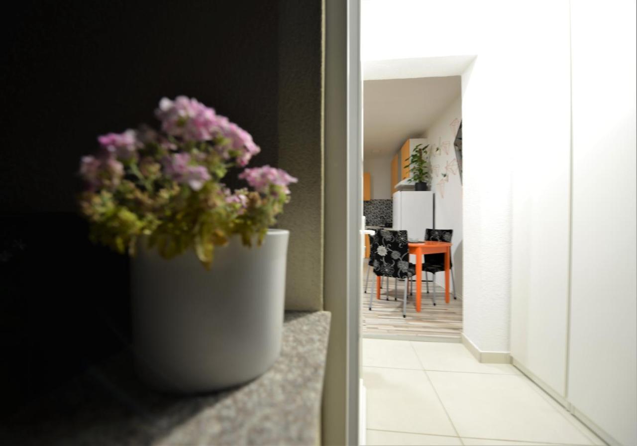 Pop&Rock Holiday House Zadar Exterior photo